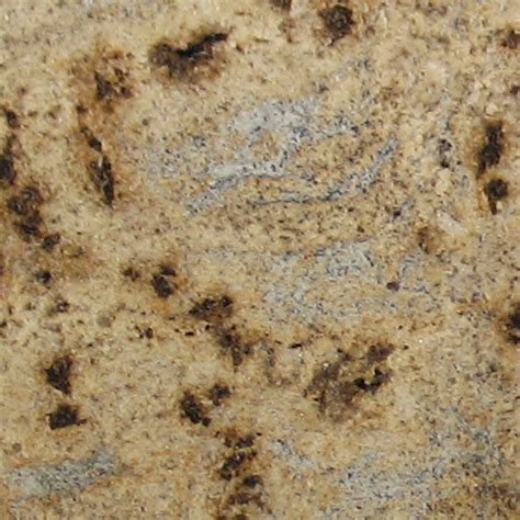 Colonial Gold Granite Slab Intrepid Marble And Granite