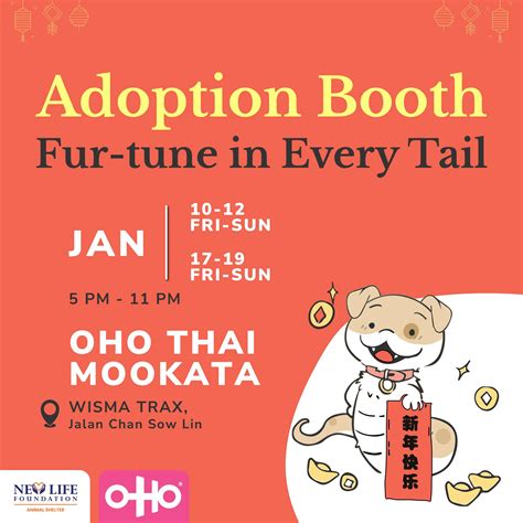 hope for life animal shelter 6