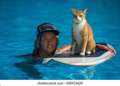 530 Cat In Bikini Images Stock Photos Vectors Shutterstock