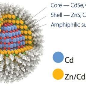 Schematic Representation Of The I Crgdy Peg Ylated Core Shell