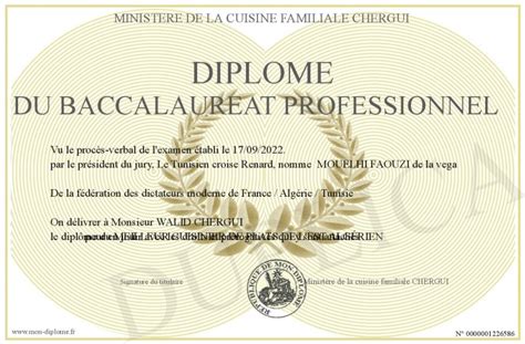 Diplome Du Baccalaureat Professionnel