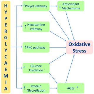 Main Pathophysiological Mechanism Of Hyperglycaemia Induced Oxidative