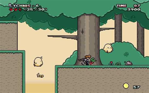 리크니스(Lychnis)