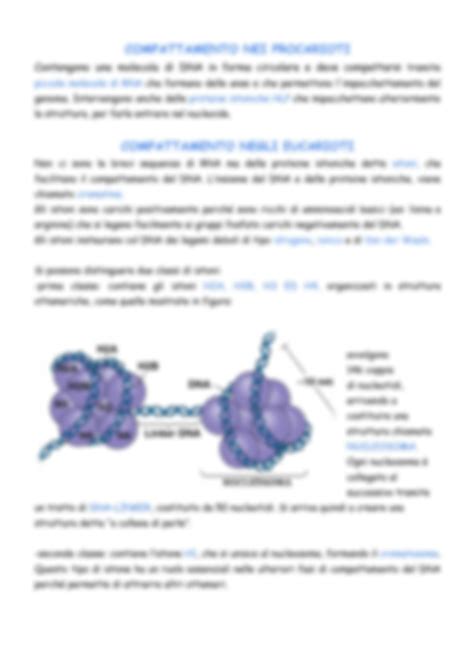 SOLUTION La Scoperta Del Dna Esperimenti Documenti Google Studypool