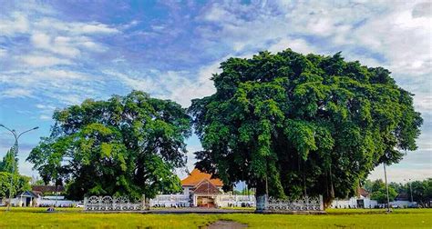 Alun Alun Kidul Mitos Masangin Dan Sejarah Lengkapnya