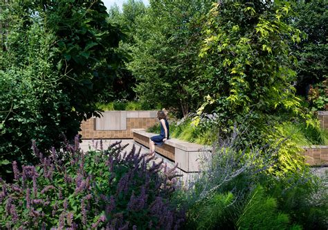 Why sjr springfield archives reveal a surprising city hall secret 1