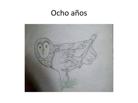 Etapas del dibujo según lowenfed PPT