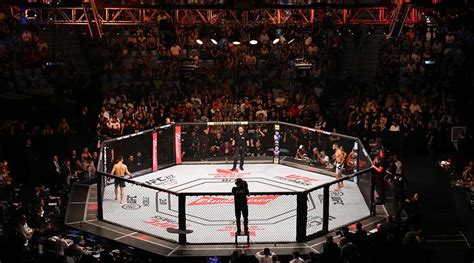 Reglas de MMA acciones prohibidas y duración de las rondas