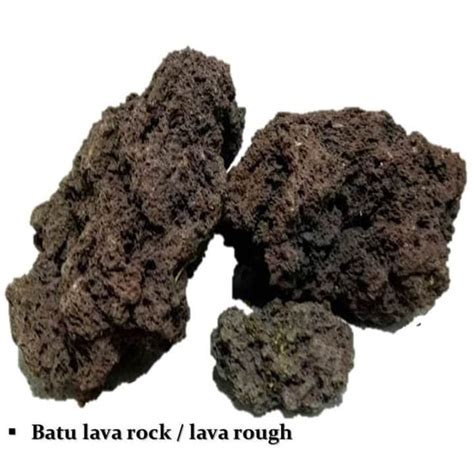 Jual Termurah Batu Aquascape Aquarium Batu Lava Rock Lava Rough 1kg