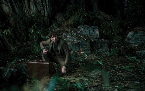 1680x1050 Resolution Eddie Redmayne as Newt Scamander Fantastic Beasts ...