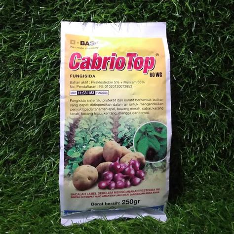 Jual FUNGISIDA CABRIOTOP 60 WG 250gr Fungisida Sistemik Untuk