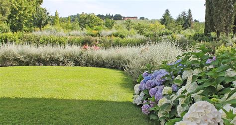 Olive Grove With A View Ghezzi Garden Design