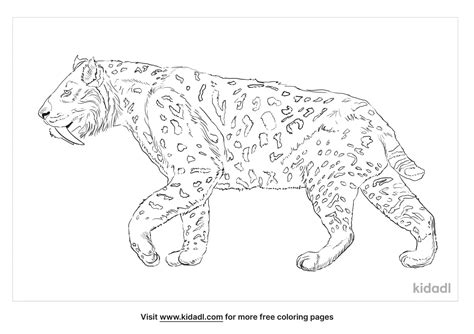 Sabertooth Tiger Coloring Page Coloring Pages | The Best Porn Website