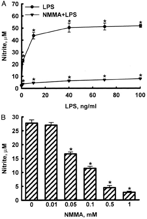 Effects Of Nmma And Lps On Macrophage Nitrite Macrophages Were Exposed