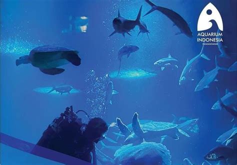 Destinasi Wisata Baru Di Pangandaran Begini Cara Pesan Tiket Aquarium