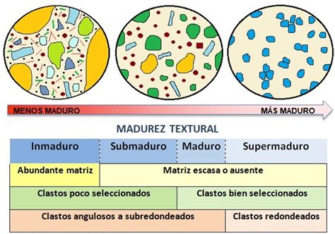 Texturas Sedimentarias Gl U T Las Rocas Ii Las