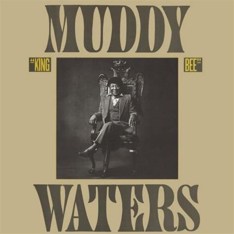 Muddy Waters album covers - bliss