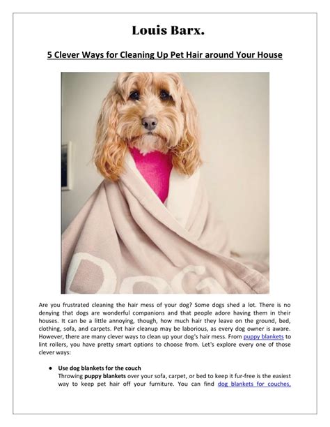 PPT Puppy Blankets 5 Tips To Get Rid Of Pet Hair In Your Home