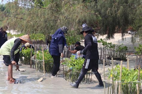 Dukung Pemerintah Bebas Emisi Karbon BRI Kembali Tanam Mangrove Di