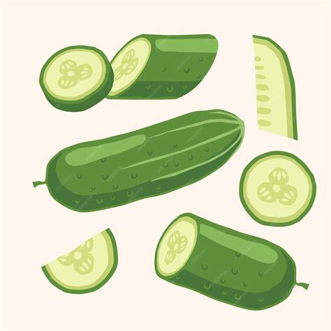 Premium Vector Vector Cucumber Fresh Vegetable Flat Hand Drawing