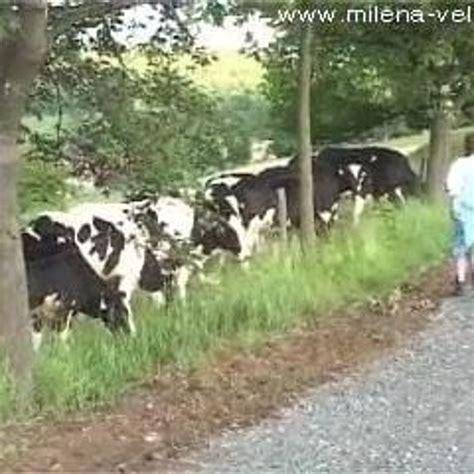 Farm Girl Part 2 Free Free Farm Porn Video 63 XHamster XHamster