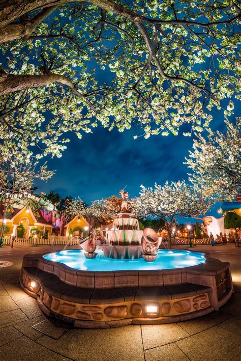 Catch a secret performance by checking the disneyland showtimes today 11