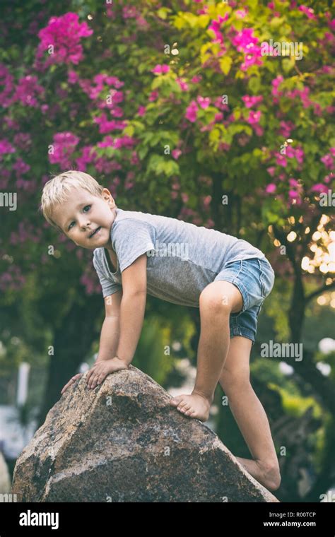 Enfant grimper sur un arbre Banque de photographies et dimages à haute