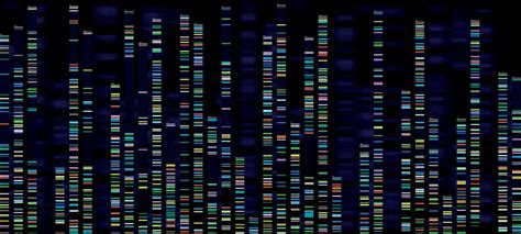 Genomic analysis visualization. Dna genomes sequencing ...