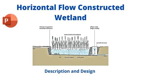 Types Of Constructed Wetlands