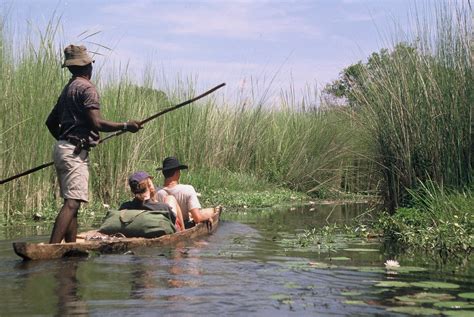 Natural Beauty: Nature Tourism in Botswana