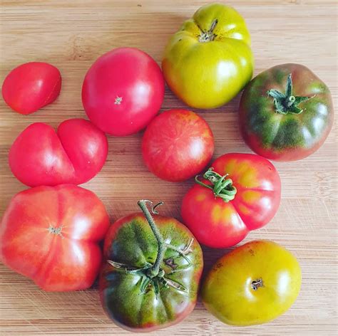 Tomato Varieties - Merchant Homestead