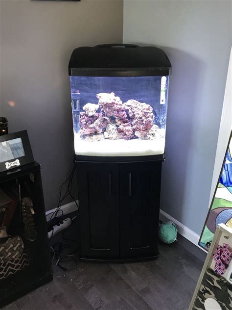 32 Gallon BioCube Aquarium W LED Kit Tank Stand Coralife