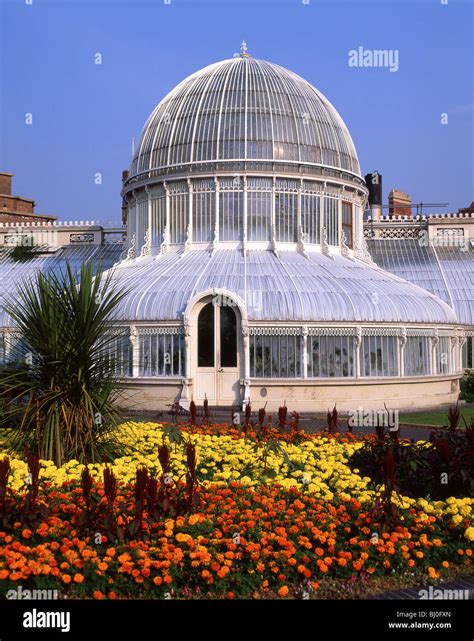 Palm House Botanical Gardens Belfast County Antrim Northern Ireland