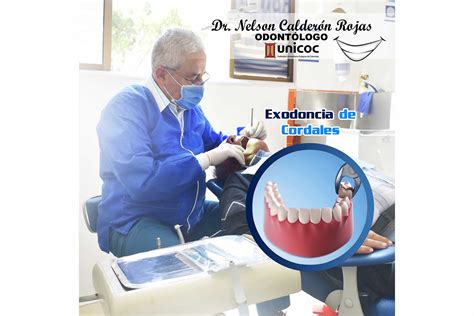 Odontologo Nelson Calder N Rojas Odontologo Pamplona Norte De