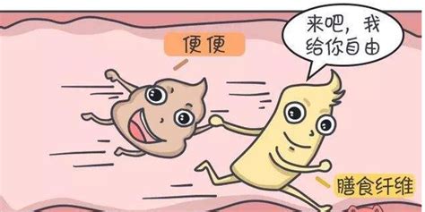 膳食纤维是什么？如何补充“它”守护健康肠道 知乎