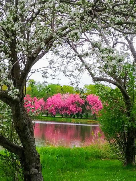Lakewood Stories - Lakewood Cemetery