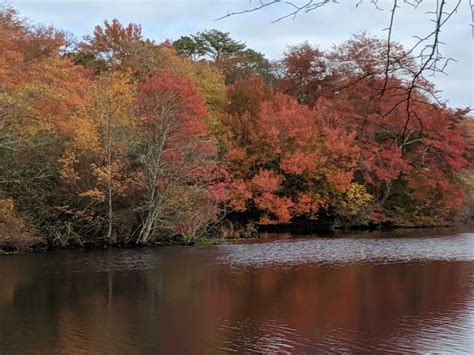 Southaven County Park Is Located In Shirley On Long Island Southaven