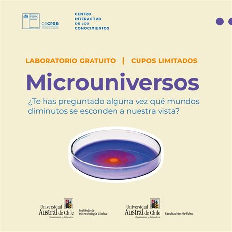 Invitan a niños niñas y jóvenes a taller de microuniversos Noticias UACh