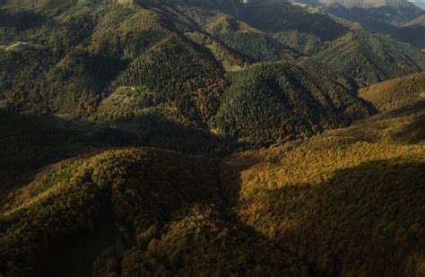 Dove fare Forest Bathing in Italia 6 percorsi benessere più