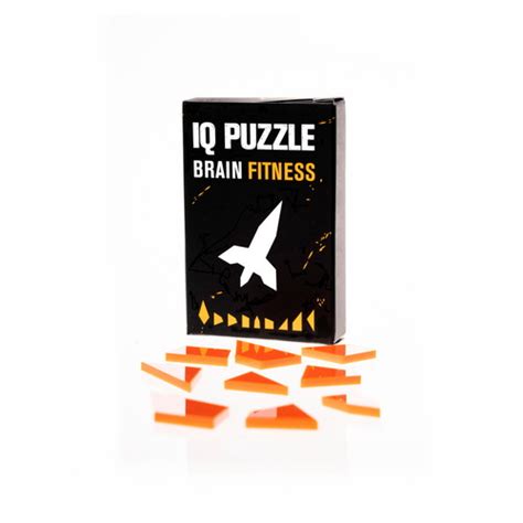 IQ Puzzle – Rocket Edition, IQ Puzzle for Kids & Adults, Brain Fitness ...