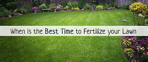 When To Fertilize Your Lawn