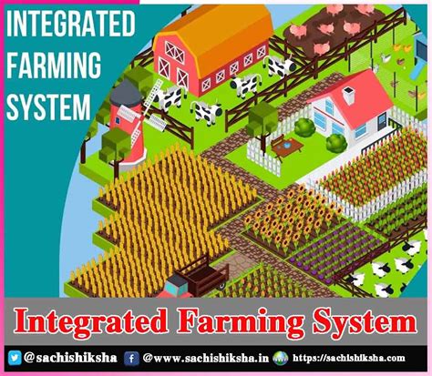 Integrated Farming System | Sachi Shiksha - The Famous Spiritual ...