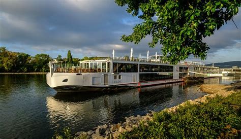 Viking Var Plans De Bateaux Avis Et Photos Tripadvisor