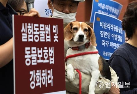 ‘비윤리적 동물실험 이병천 교수 파면 촉구