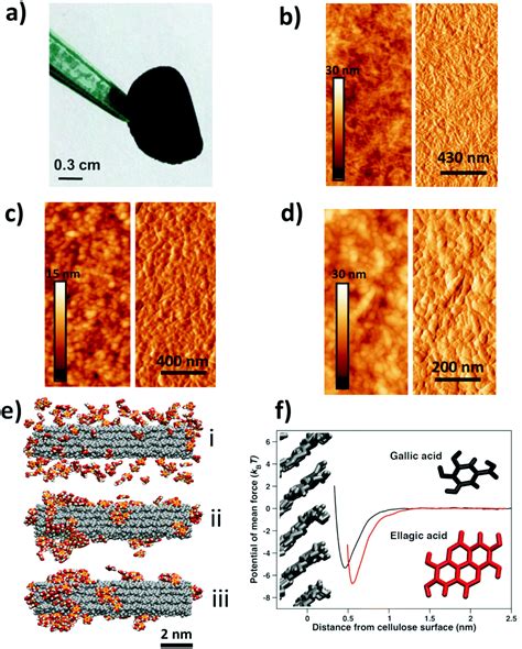 Functionalization And Patterning Of Nanocellulose Films By Surface