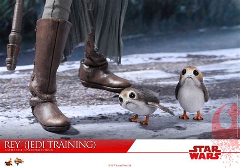 Hot Toys Rey Jedi Training STAR WARS THE LAST JEDI Action Figure Comes With Porgs GeekTyrant