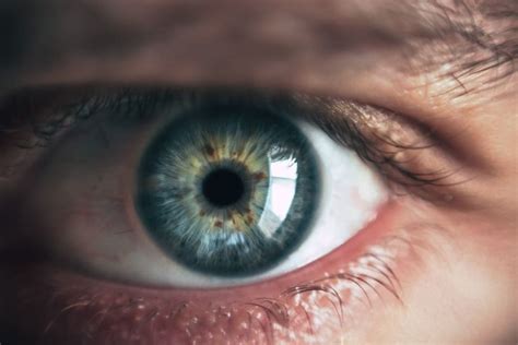 Conoce Las Enfermedades De Los Ojos Más Usuales Y Peligrosas