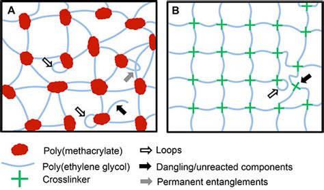 Theoretical Hydrogel Network Schematic A Traditional Chain Growth