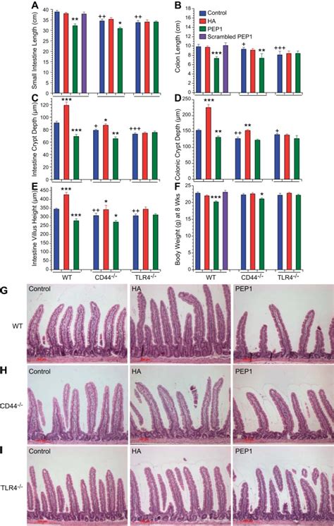 Cd And Tlr Mediate Hyaluronic Acid Regulation Of Lgr Stem Cell