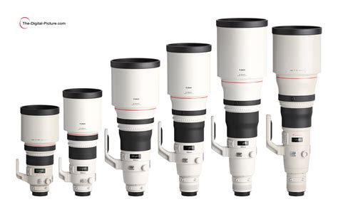 Canon EF 600mm f/4L IS II USM Lens Review